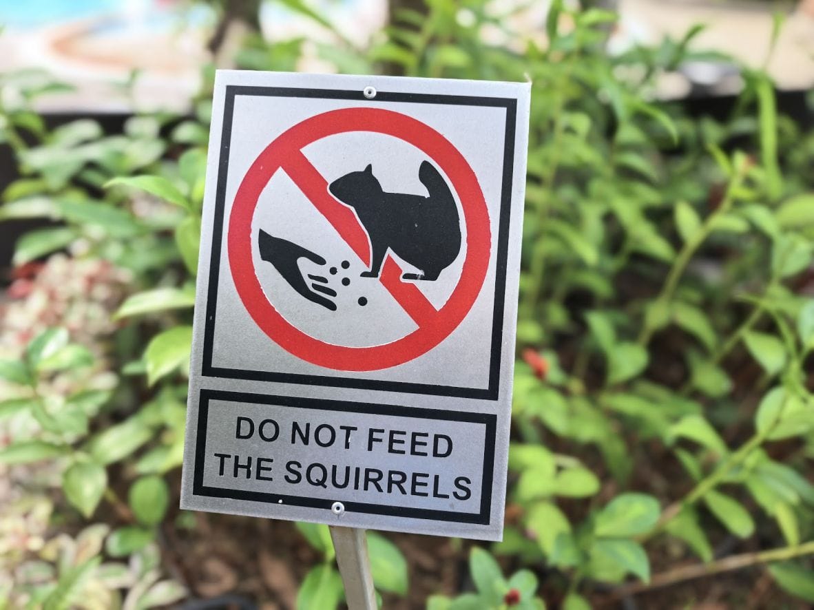 What worked and what didn't on LinkedIn in 2025