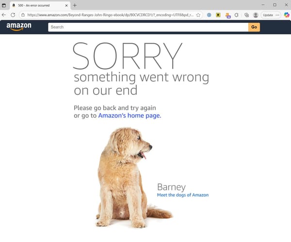 US AWS outage knocks thousands of websites offline